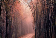 PG模拟器-新奥尔良鹈鹕今晨官宣签约，志在西甲名次提升，管理层满意，年轻球员获得机会的简单介绍